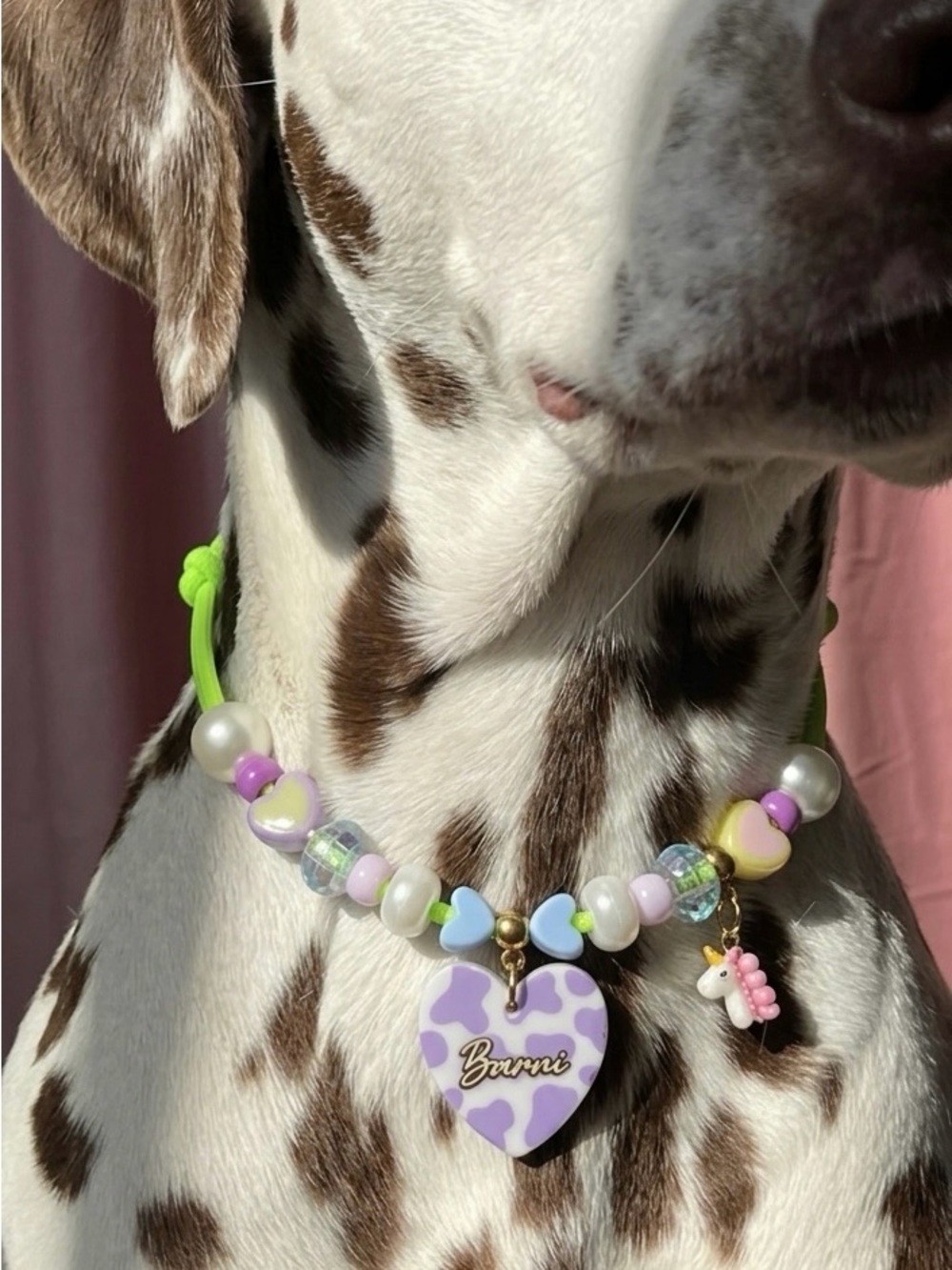 Custom Handmade Pet ID Tag Collar Necklace • Personalized Resin Dog Tag 🐶 - Picture 1 of 2